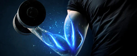 het aantal herhalingen voor_spiergroei